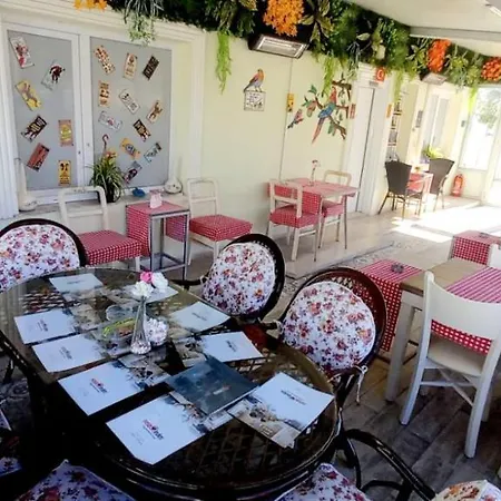 Nesa Garden Palas كوشاداسيه